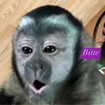 Tabitha Cantrell - @tabithacantrell772 - Instagram