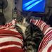 Tabitha Milligan Carpenter - Facebook
