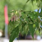 tabitha carroll - @tabithacarroll39 - Instagram