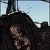 Tabitha Collier - Facebook