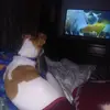 Tabitha Collins - @tabitha.collins0 - TikTok