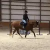 Tabitha Collins - @tabithaeq - TikTok