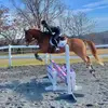 Tabitha Collins - @narkicolomb - TikTok