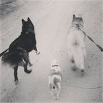 Tabitha Cook - @tabithacook8387 - Instagram