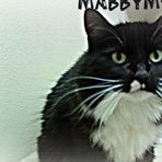 Tabitha Cordova - Facebook