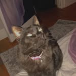 Tabitha - @tabithacory2 - Instagram