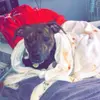 tabithacory - @zeke.butt - TikTok