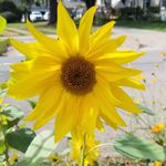 Tabitha Wolfe - @coynetabitha - Instagram