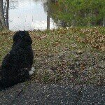 Tabitha Cramer - @tabbycatty44 - Instagram