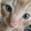Tabitha Cristo - @tabitha.cristo - TikTok