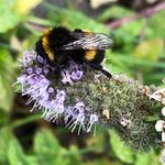 Tabitha Becroft - @tabithabecroft - Instagram