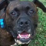 tlc - @tabithacrotts426 - Instagram