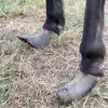 tabitha darling - @tabitha.darling - TikTok