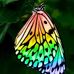 Tabatha Davidson - Facebook