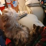 Tabitha deason - @minty_098086 - Instagram