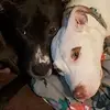 Tabitha Delaney - @tabdelaney9069 - TikTok