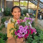 Tabatha De Leon - @honeypetalfarm - Instagram