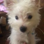 Tabitha DeLong Young - @tabithadelongyoung - Instagram