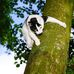 Tabitha Dennis - Facebook