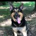 Tabitha Denton - Facebook