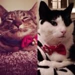Tabitha & Ramah McCray-Denton - @tabitha_and_ramah - Instagram