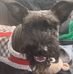 Tamatha Dickens - Facebook
