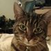 Tabitha Donaldson - Facebook
