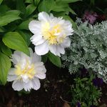Tabitha Donaldson - @tabby_girl_2002 - Instagram