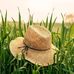 Donahue Tab - Facebook