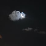 Tabitha Dorsey - @tigressmoon1111 - Instagram