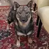 tabithadoyle - @tabithadoyle - TikTok