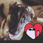 Tabitha Rager - @tabso.o_baycity_spam - Instagram