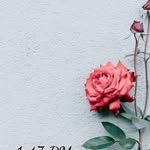 🌹Tabitha Rose Early🌹 - @tabithaearly15 - Instagram