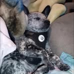 Tabatha Farris - Facebook