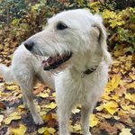 Tabitha Fischer - @tabsisfi - Instagram