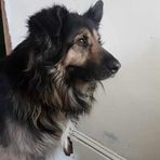 Tabitha Ann Funk - Facebook