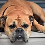 Tabitha Glover - @ttvluch709funny - Instagram