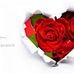 Tabitha Goodrich - Facebook