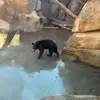 Tabitha Hamilton - @tabitha.hamilton53 - TikTok