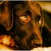 Tabitha Hawkins - Facebook