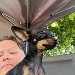 Tabitha jensen - @tantenabo - Instagram