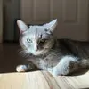 Tabithakahn7 - @tabithakahn3 - TikTok