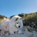 Tabitha Kane - Facebook