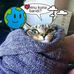Tabitha Kanesi - Facebook