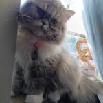 Tabitha Keith-shifflett - @tabithakeithshifflett - Instagram