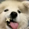 Tabitha.Keller - @kristjehw7h - TikTok