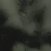 tabitha.tabb1 - @tabitha.tabb1 - TikTok