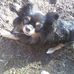 Tabitha Larson - Facebook