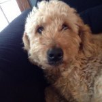 Lilly - @lilly_tabitha_rox - Instagram