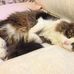 Tabitha Lilly - Facebook